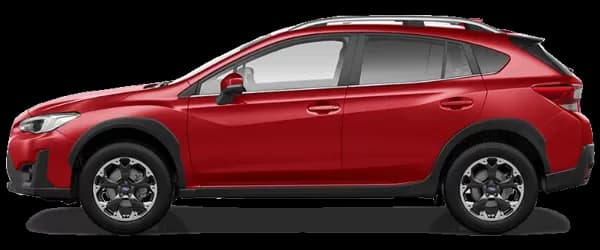 XV